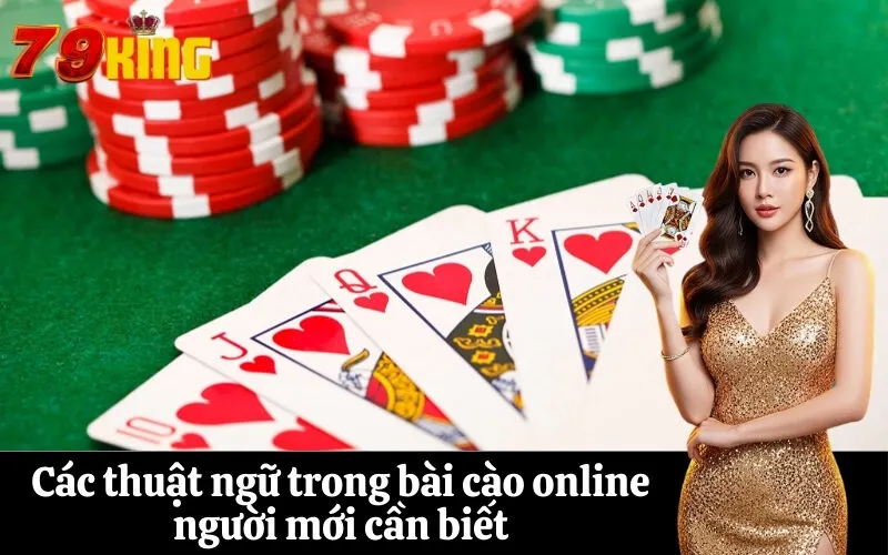 Các thuật ngữ trong bài cào online người mới cần biết