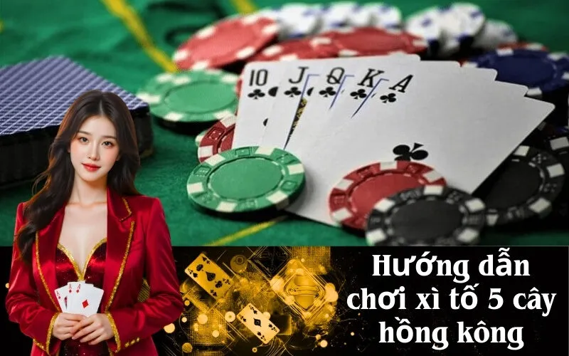 Hướng dẫn chơi xì tố 5 cây hồng kông